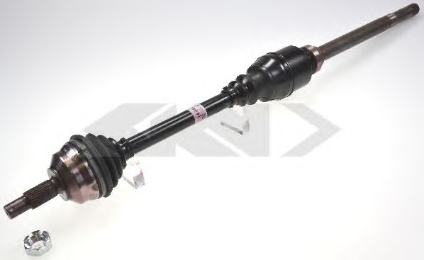 Pusašis (SPIDAN) 24844