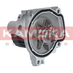 Vandens siurblys (KAMOKA) T0148