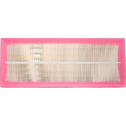 Oro filtras (CHAMPION) CAF100806P