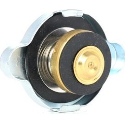 Dangtelis, radiatorius (BLUE PRINT) ADC49902