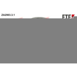 Centrinis darbinis cilindras, sankaba (FTE) ZA2903.3.1
