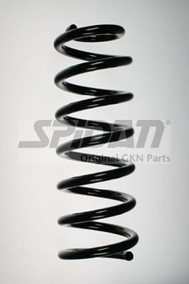 Spyruoklė (SPIDAN) 49785