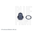 Alyvos išleidimo kaištis, alyvos karteris  VW 1,4 TSI 12- (BLUE PRINT) ADV180103