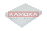 KAMOKA F405601