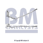 Suodžių / kietųjų dalelių filtras, išmetimo sistema (BM CATALYSTS) BM11152