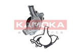 Vandens siurblys (KAMOKA) T0195