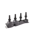 DELPHI Ritė, uždegimas