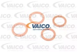Hidraulinė žarna, vairo sistema (VAICO) V102156